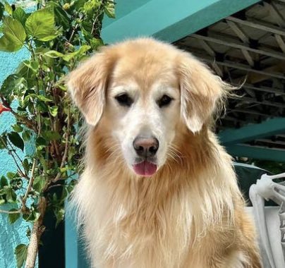 Emma Skinner🏳️‍🌈🏳️‍⚧️🇺🇦 tweet media