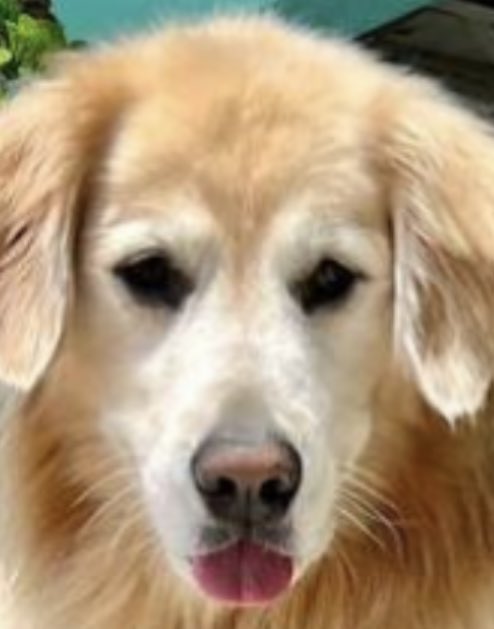 Emma Skinner🏳️‍🌈🏳️‍⚧️🇺🇦 tweet media