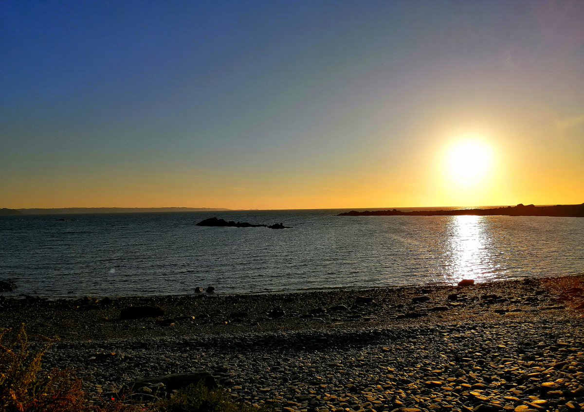 MicroDoc10's tweet photo. Bonne soirée sous cette magnifique lumière 🌅
#NaturePhotography #nature https://t.co/Ko9h0TZktS