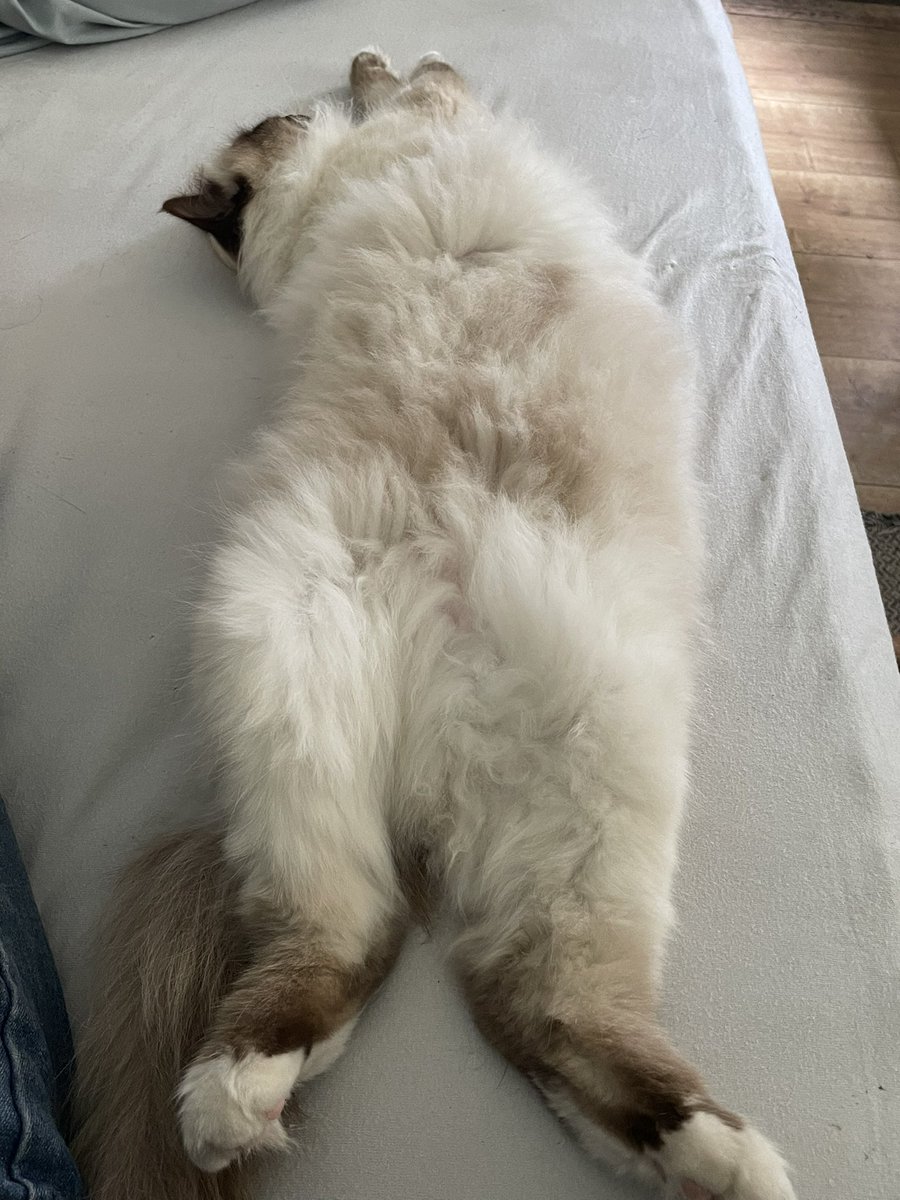 Ik ben even op bed gaan liggen… lekker rustig