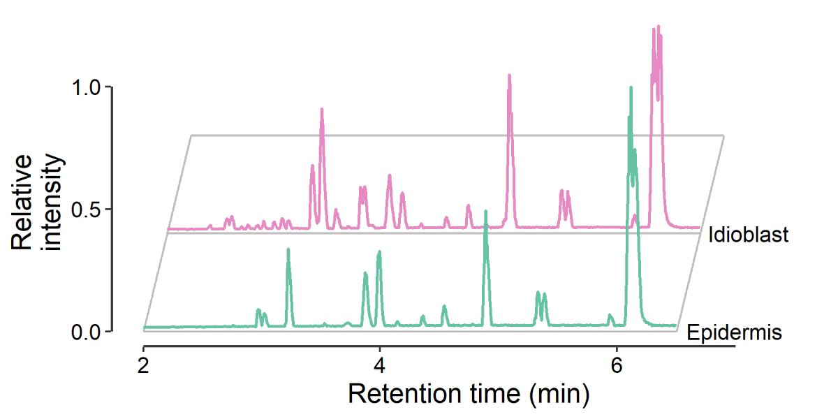 Chenxin Li, PhD (@chenxinli2.bsky.social) tweet media