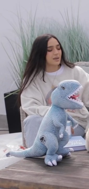 CacheVictoria's tweet image. Quiero un dinosaurio como el de @Pochosaurus ❤