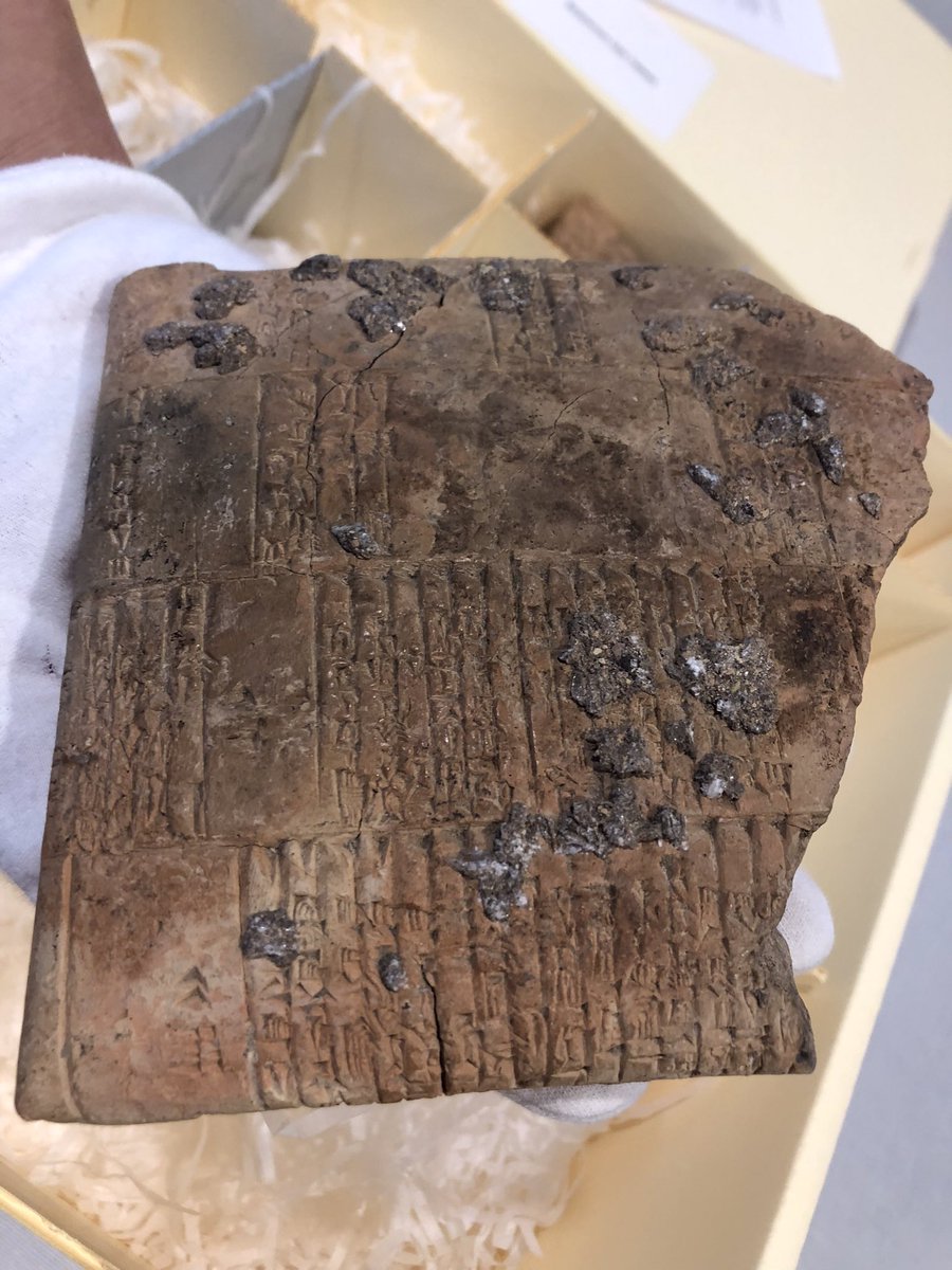CynthiaFine's tweet image. I’m at the library looking at REAL Babylonian clay tablets from 1200 BC! #Retirement #SpokaneLibrary