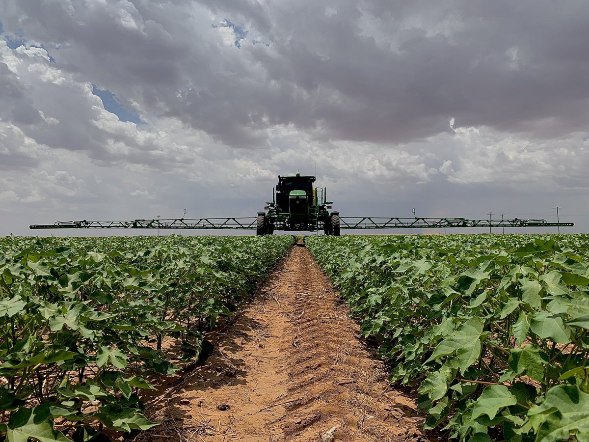 Decent 👌🏻 #DarkWindowsSavesLives