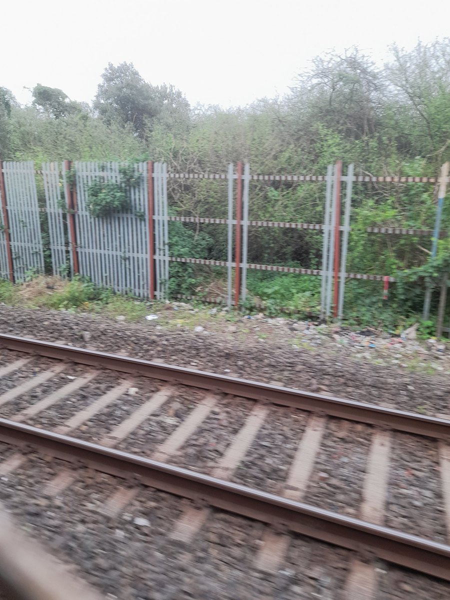 issues_west's tweet photo. @grpmumbai @RPFCRBB @rpfwr1 Railway fencing between Bandra stn and Mahim station is being pulled out and stolen piece by piece every day buy no action being taken. Same people surely are also the Fatka gang members but no action from the cops. @quaiser_khalid request action. https://t.co/uFgZAMr1Sh