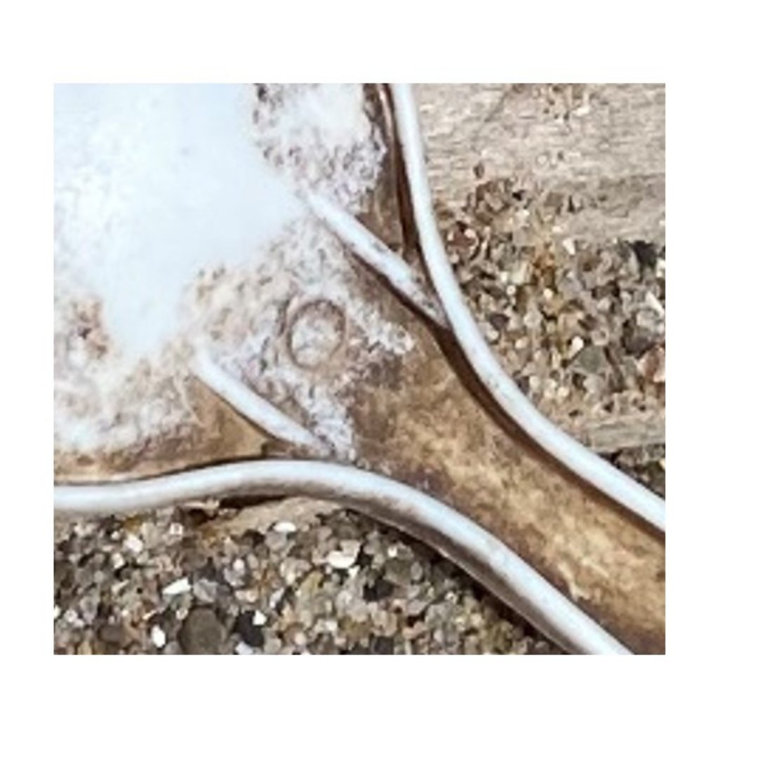 A4GL's tweet photo. Put on your thinking cap 🧢  and try to Name That Trash🗑️ 
You can help reduce plastic pollution all year round. See our Plastic-Free July pledge; for more ideas, visit https://t.co/7eECyZU684.

Answers will be revealed on Monday.

#plasticfreejuly #adoptabeach #A4gl https://t.co/qQbLxiimoV