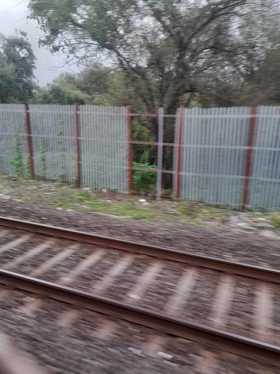 issues_west's tweet photo. @grpmumbai @RPFCRBB @rpfwr1 Railway fencing between Bandra stn and Mahim station is being pulled out and stolen piece by piece every day buy no action being taken. Same people surely are also the Fatka gang members but no action from the cops. @quaiser_khalid request action. https://t.co/uFgZAMr1Sh