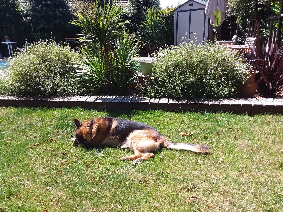 Flipper (@fliper63411443) on Twitter photo 