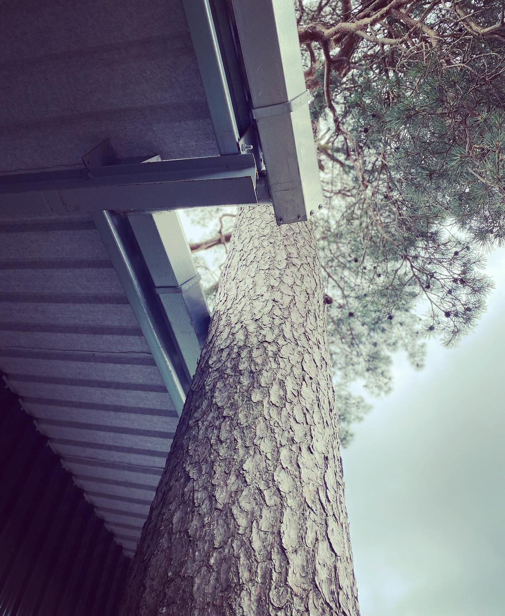 MudderGutters's tweet image. #tree #herefirst 
.
#teamTMG absolutely delighted to be selected by #meathecopark to maintain their #commercial #gutters 
.

#bestinmeath #gutterclearing #guttercleaning #gutterrepair #guttersucker #4kguttercam #waterfedpolewindowcleaning #gutterenvy
#whatsinyourgutters