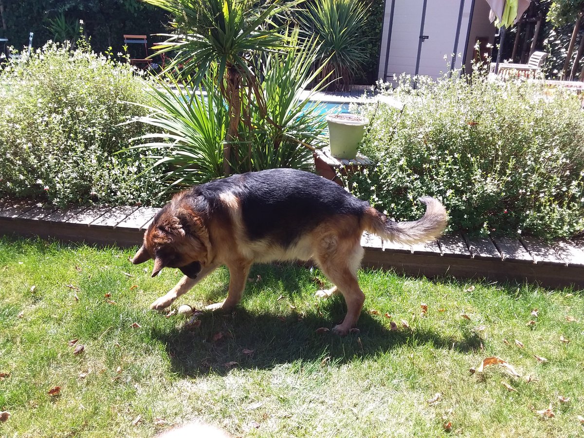 Flipper (@fliper63411443) on Twitter photo 