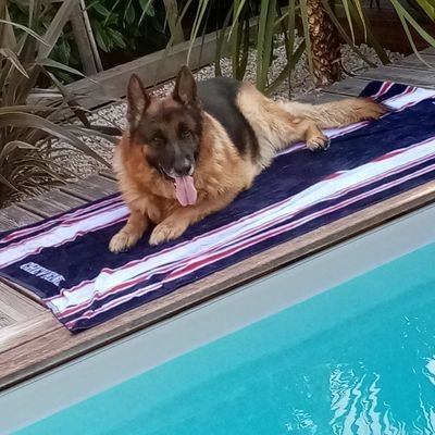 Flipper (@fliper63411443) on Twitter photo 