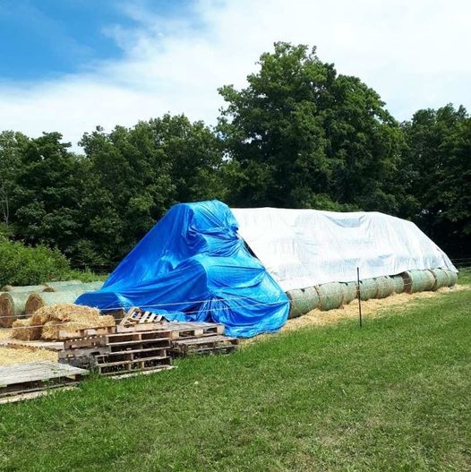 AponaRanch's tweet photo. Great Canadian Hay! 😅
After 7 years of supporting our fields naturally and organically, we have more hay than we can fit in the barn!  I am so grateful especially when so many areas in Canada and the US are experiencing hay shortages.
Anyone need hay?

#Hay #organic #equinefeed https://t.co/kL3NC2aglm