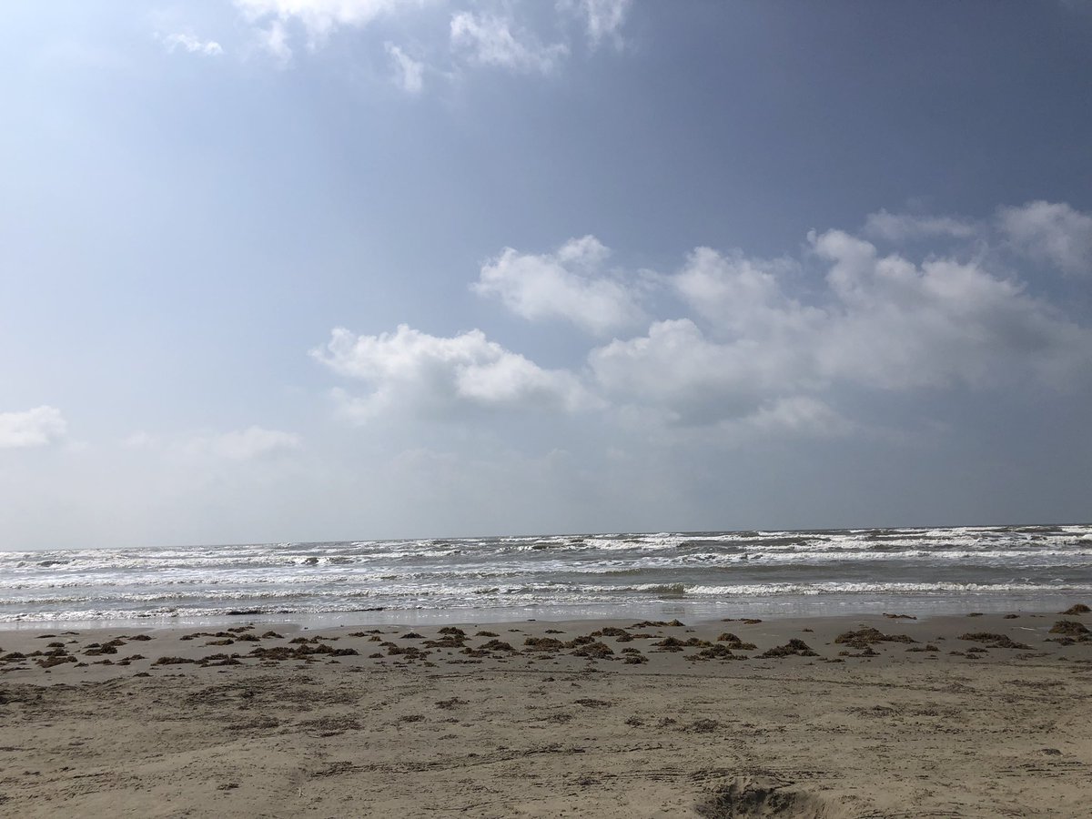 Rice2ndgrade tweet media