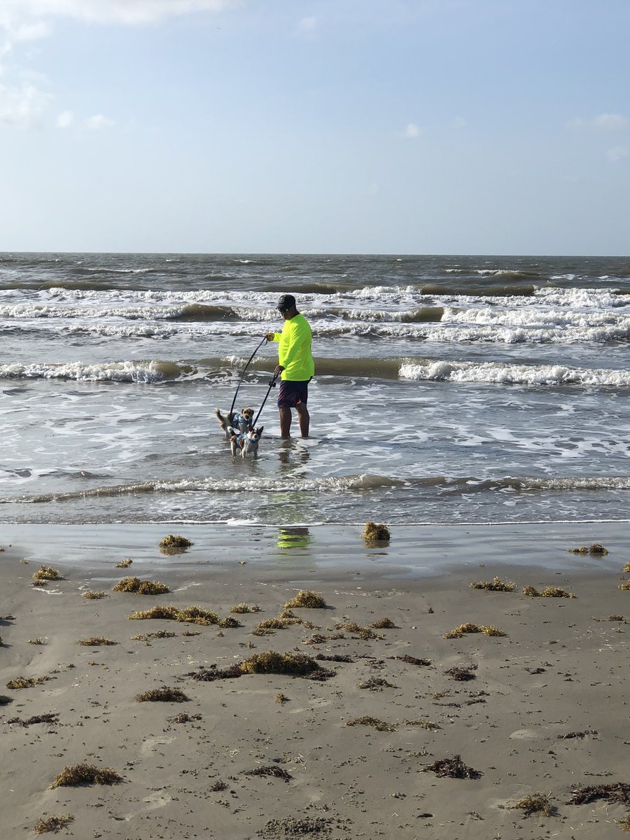 Rice2ndgrade tweet media