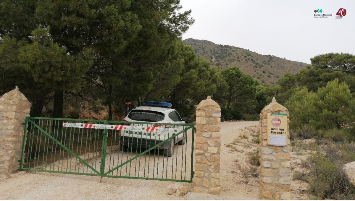 Ciezaenlared's tweet image. Cerrado el acceso a vehículos y personas a montes públicos hasta el próximo miércoles por el riesgo extremo de #IncendiosForestales ciezaenlared.com/Principal/2022…