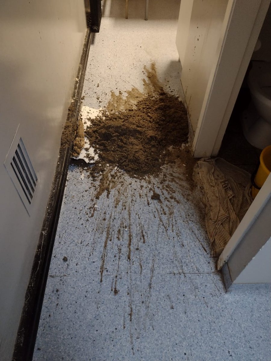 Paula12526102's tweet photo. Así se trabaja en pediatría del Hospital zonal de Trelew. Primero se cayó el baño, después el pasillo. Pero son los médicos los que roban...
@ADNsur @JornadaWeb @ornellavezzoso @AzulMedia1 https://t.co/TvBK1V3Ueh