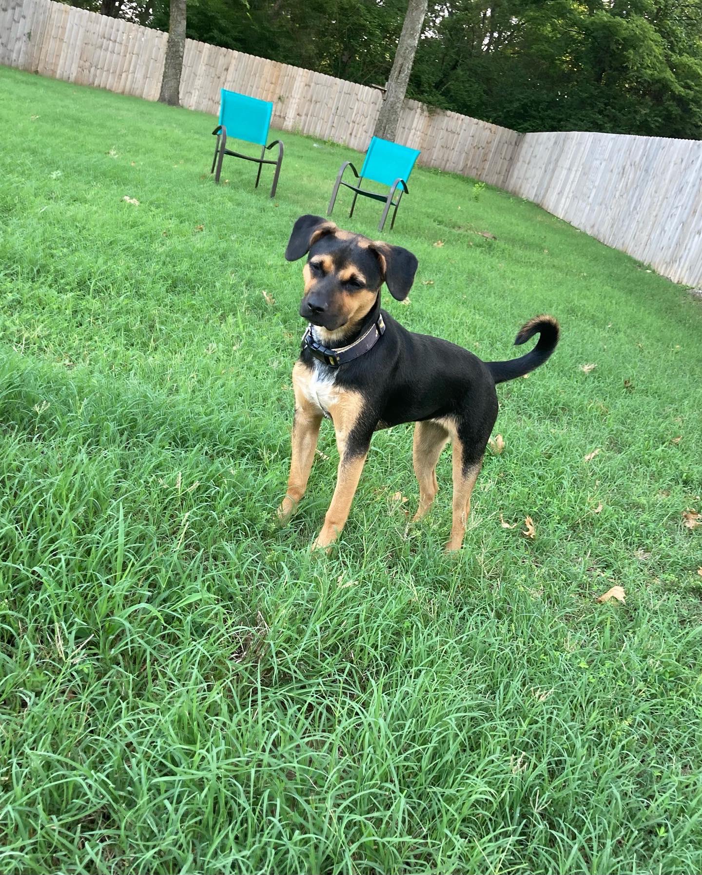   Happy Birthday dad! From my Taylor lewan! Tiny hugs and kisses! 