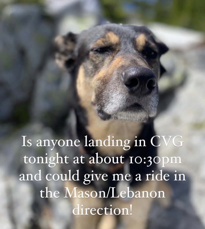 Coach Alyssa W tweet media