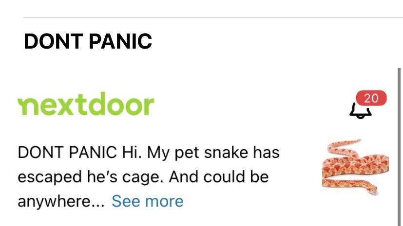 Alice Etches tweet media