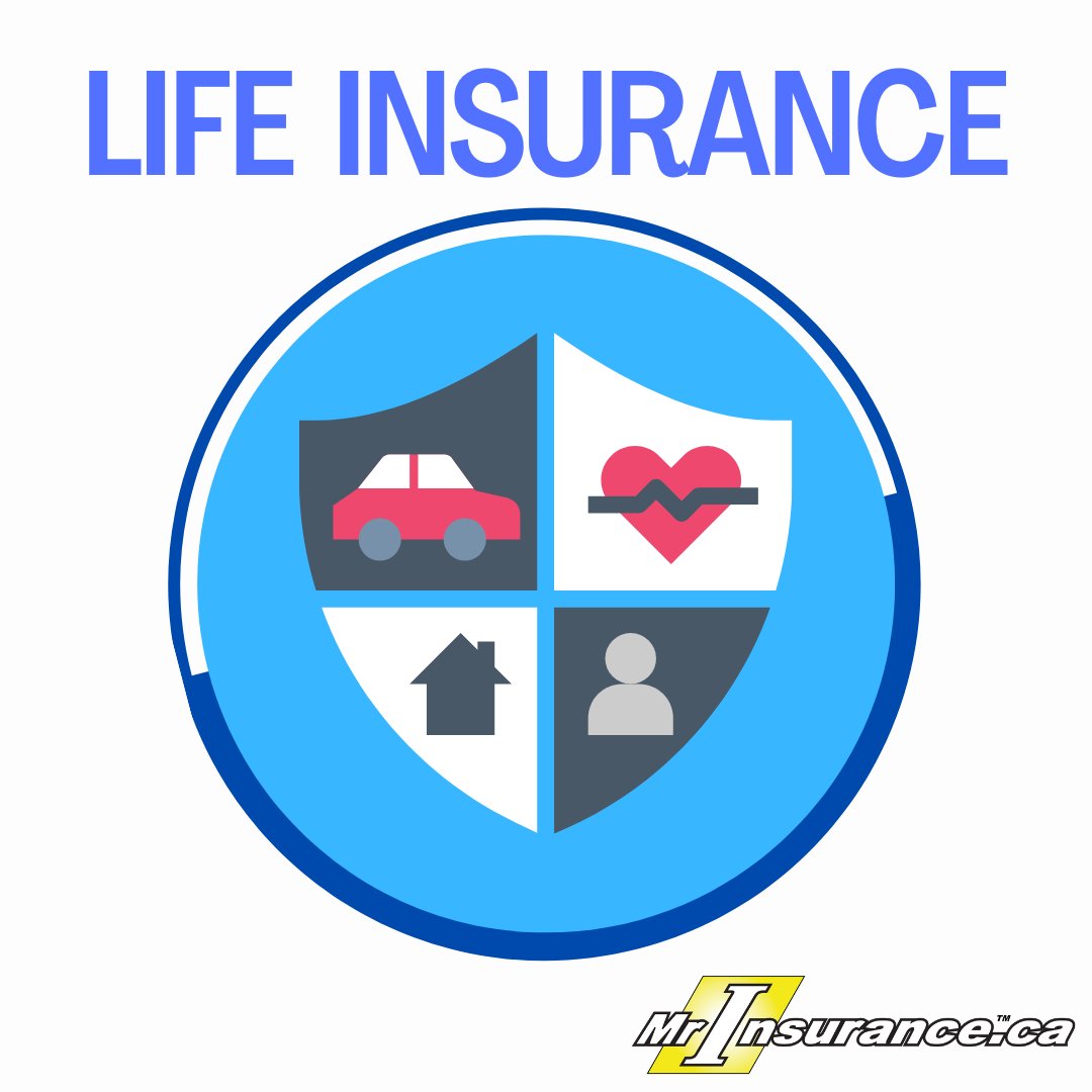 MrInsuranceca's tweet image. Any reason why you're not insured yet?

MrInsurance.ca

#insurance #insurancequote #mrinsuranceca 
#mortgage #saving #mortgagebroker #quote #insurancetip #lifeinsurance #family #debt #insurancebroker #business