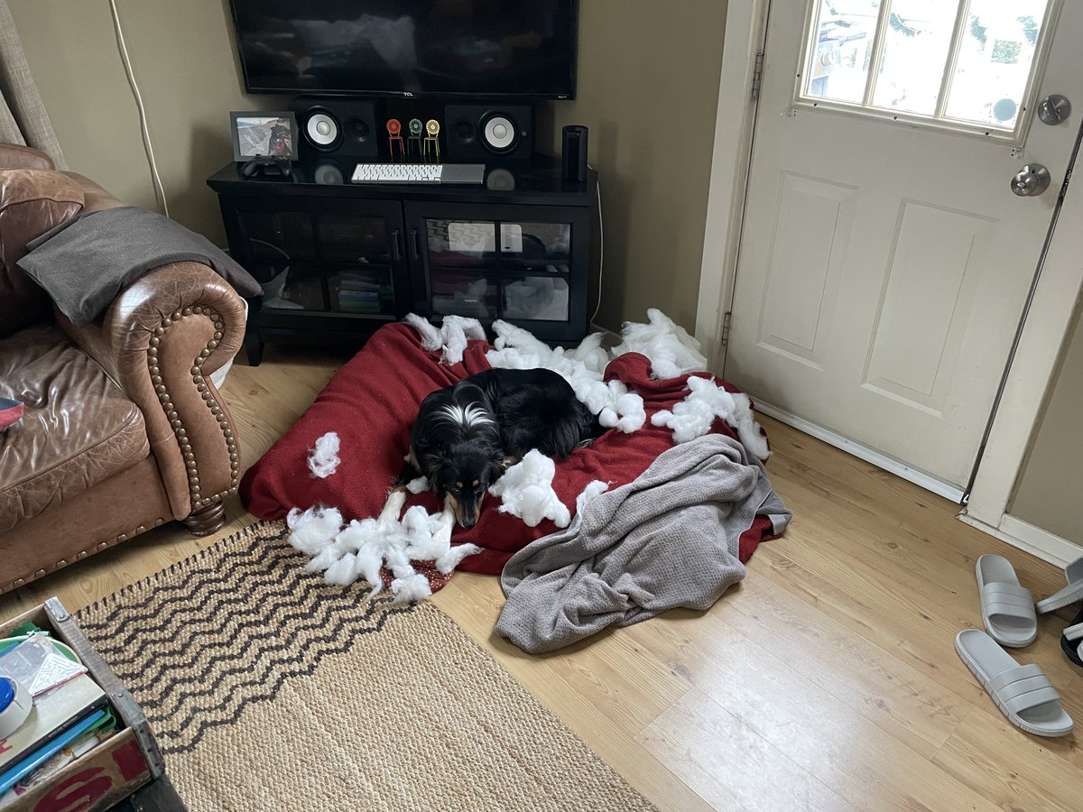 aaronshekey's tweet photo. I recently went on a strange journey of getting rid of my corner media center, mounting all my stuff to the wall, hiding cabling, moving shelves, and building wainscoting. 🧵 https://t.co/8OHXiZIgnM