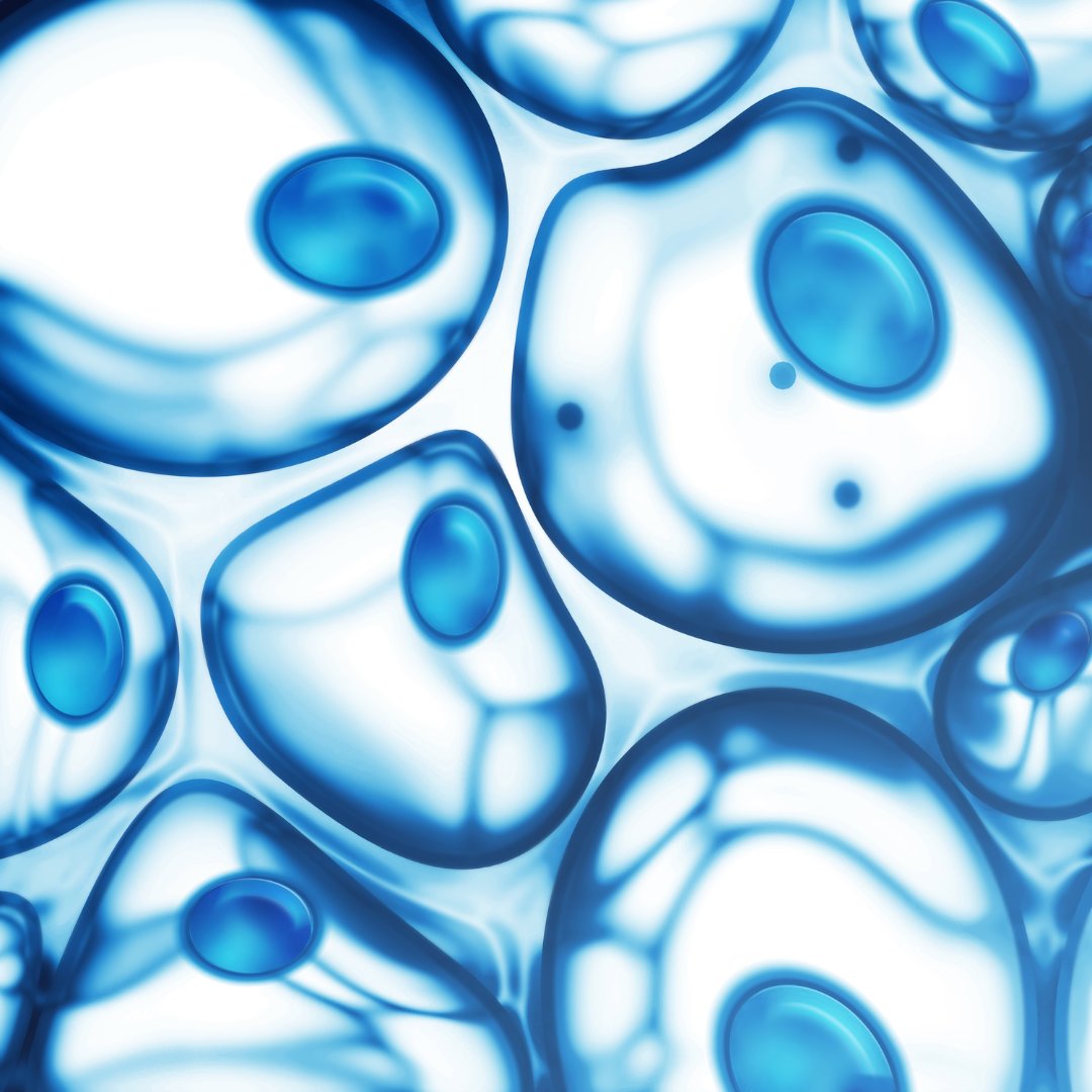 Alliedgrp's tweet photo. Are you familiar with Spatial Biology? Get ready for the next revolution in life science.

Read More: https://t.co/sD3mLdstkR

#spatialbiology #DrRichardGoodwin #microenvironment #lifescience #alliedgrp https://t.co/Fot35UkOep