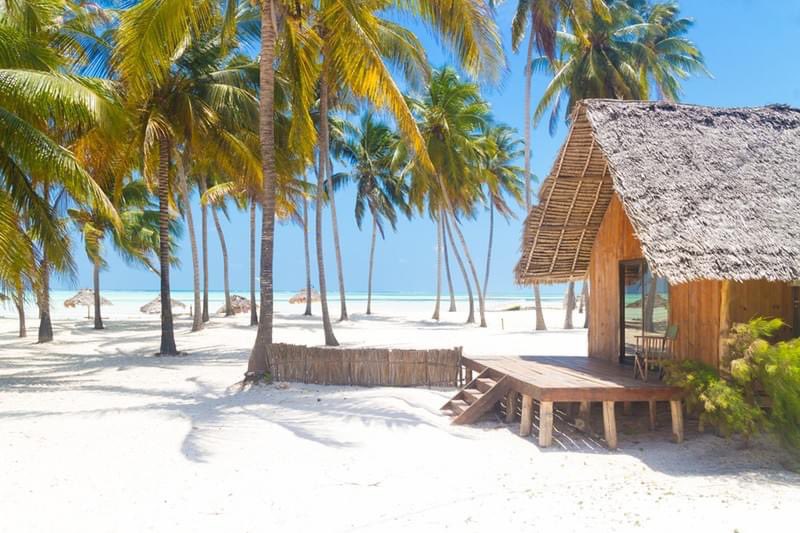 Now that’s a beach! You need sunglasses just to look at this image! It’s on Zanzibar island. 

#zanzibarisland #travel #vacation #honeymooninspo #beachvibes