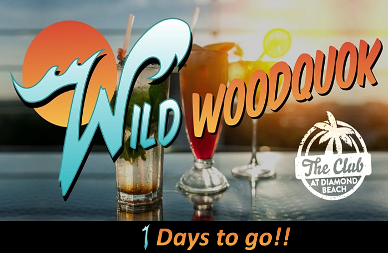 Tribe Quokka tweet media