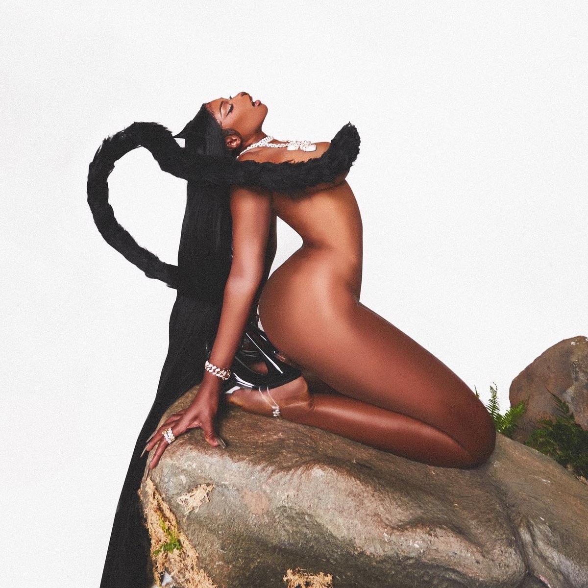 theestallion tweet picture