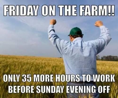 PrairieAGcenter's tweet photo. Day-off? Weekend? Never heard of it. 🤷♀️ 🤷♂️
Shout out to our hardworking farmers who work tirelessly every day of the week. 💪
#farmingmemes #farming #agriculture https://t.co/tHtHjpmiLW