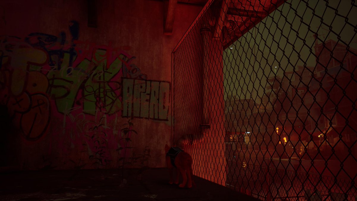 bonesavignon's tweet image. #PS5Share, #Stray