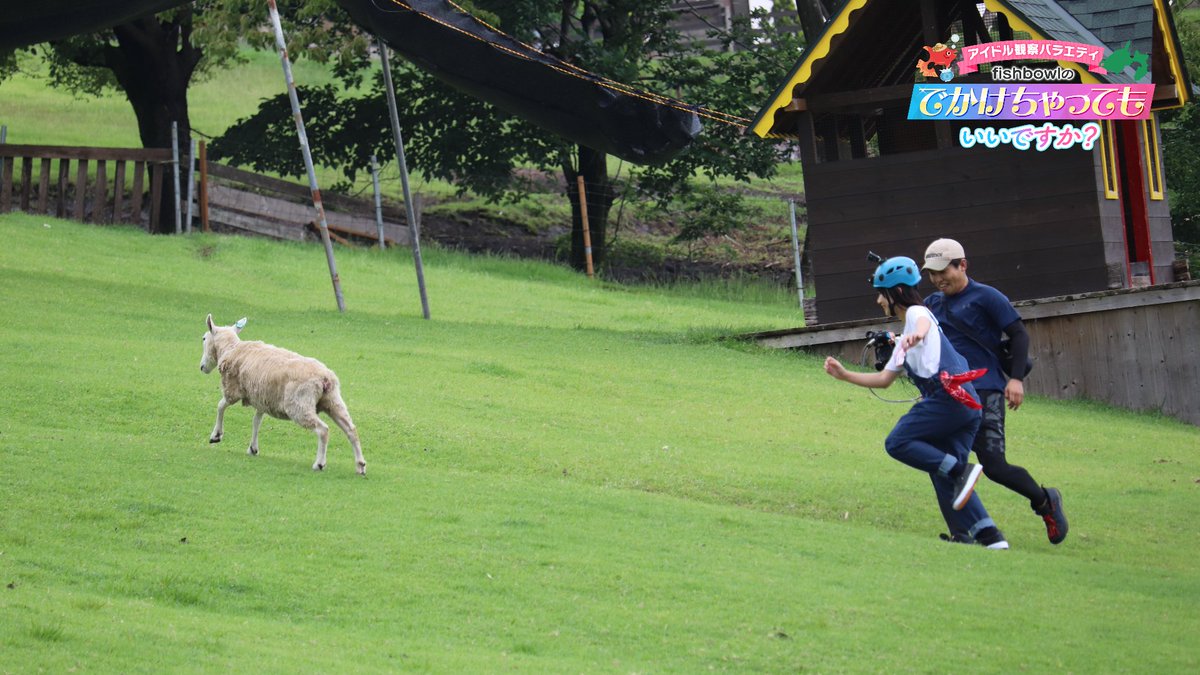 【アイカンFBD】アイドル観察バラエティ fishbowlのでかけちゃってもいいですか？ on Twitter 