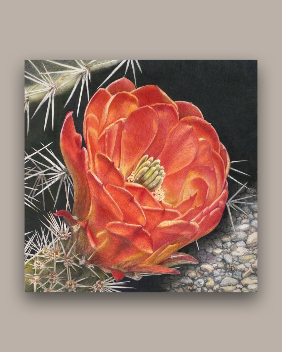 ValkarieGallery's tweet photo. Tonight, we have a wonderful summer exhibition of artworks in our gallery. 
REIMAGININGS by Claudia Roulier and Michelle Lamb is now open in our main gallery. 

#friday #coloredpencil #coloredpencilart #denverart #wood #art  #assemblagesculpture #junkpunk  #painting #map https://t.co/LZr0CLZd0m