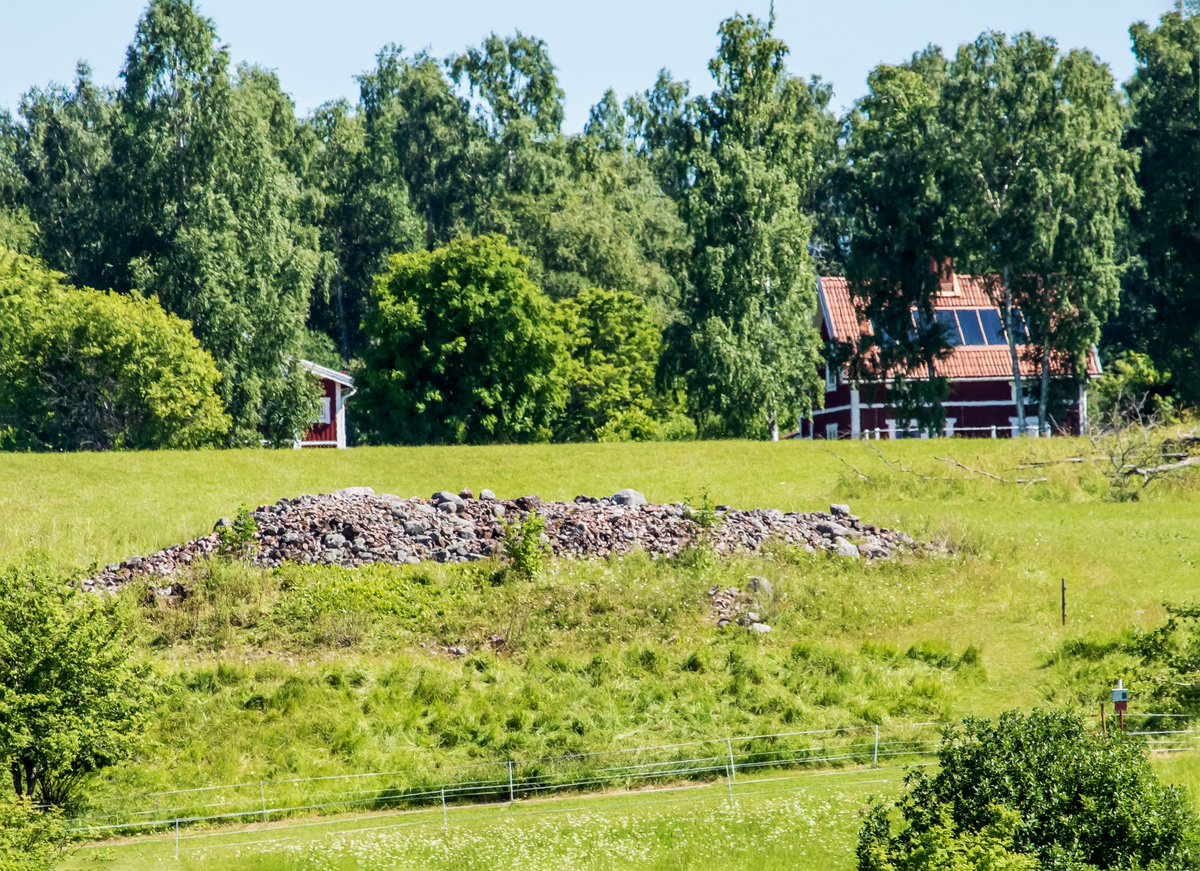 wessexarch's tweet photo. Here’s a snapshot of our wonderful week in Sollerön, Sweden, the largest island in Lake Siljan, Dalarna. 🇸🇪

We undertook non-intrusive geophysical surveys to find out more about the island’s Viking Age past.

Be sure to follow along to see what the survey results reveal! https://t.co/5z4jy3K3zY