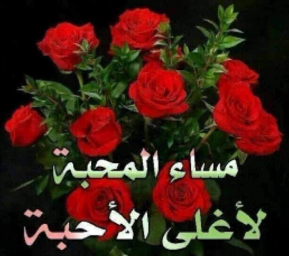 <a href="/OSK11111/">Oscar</a> <a href="/njd__j/">n</a> <a href="/Z_Q_6/">♕آلمـلگي Ⓔⓝⓖ. ⓏⒾⒶⒹ♕</a> @Z_Q_71 <a href="/k12k1111/">Captain</a> <a href="/Mm_u55/">منعم محمد « Monem Mohamed»</a> <a href="/Al_aa_88/">علاء سعيد</a> @qamar_jj <a href="/_143malik/">💖🇪🇬♥Malik Al-Swaify</a> @loly2171988 <a href="/abdallah_ah_at/">𝔸𝕓𝕕𝕒𝕝𝕝𝕒𝕙 𝔸𝕋𝔸𝔸</a> <a href="/khldmosmohamdy/">🇦🇹Χαλεδ Μουσταφά μοηαμεδ</a> <a href="/sf2ndt/">✍🏻البعيد✍🏻🕊️ا</a> @T5555__ @sasa380v @Ben_o0mar <a href="/ahmedIYIIYI/">🇵🇸IYI احمد عجمي IYI</a> @hema_gedo76 <a href="/almutafawiq7r/">حل اختبارات واجبات وبحوثات💯🇸🇦⁩⁦⁦🇰🇼⁩⁦🇴🇲⁩</a> @SalmaIbrahem1 @Mohamed__Rahi @Zezomohd_1986 <a href="/MoWahee19555223/">mohamed Waheed✨</a> تسلم ايدك يا كبير
حبيب قلبي الغالي ❤️❤️❤️