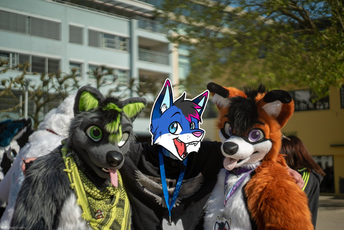 The <a href="/AlphaDogsStudio/">Alpha Dogs</a> family is by far one of the best things about being an Alpha Dogs suiter! Everyone is so nice and friendly 💜 Can't wait to meet more #AlphaPack members later this year on #PackWeekend in Denmark! w/@YoruRakurai and <a href="/PacoGreyWolf/">Paco</a>
📷<a href="/lextramow/">Lexi McSwirl</a> 
#FursuitFriday