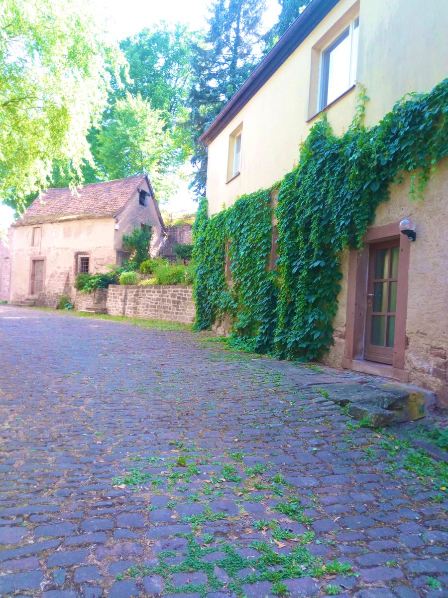 StBibCharlowilm's tweet photo. Eine Kollegin ist gerade unterwegs im schönen #Bayern und gibt einen Schreibworkshop auf Burg #Rothenfels. Grund genug uns dort mal hinzuträumen… https://t.co/66LREZ6OAS
