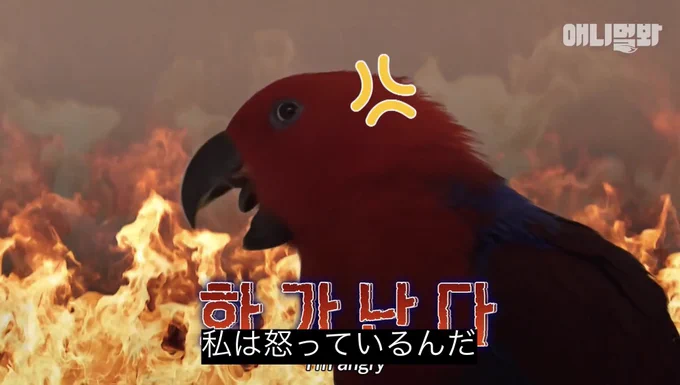 お前だけは俺が殺すHO1、終始こうだった 