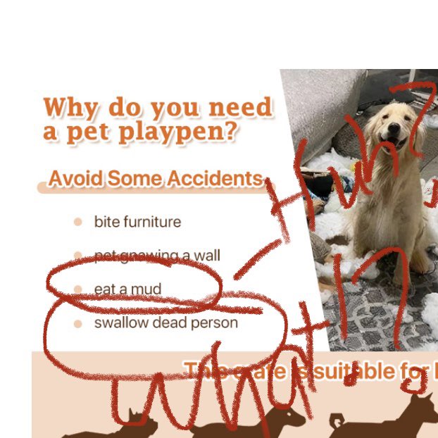 ColorMyWords's tweet photo. I was scrolling @amazon late last night and busted out laughing when I saw this. You learn something new every day. 😳😂🤣😂🤣

#Dog #DogsofTwittter #funny #hilarious #petsupplies #pet #fails https://t.co/rSyEsJjm6F