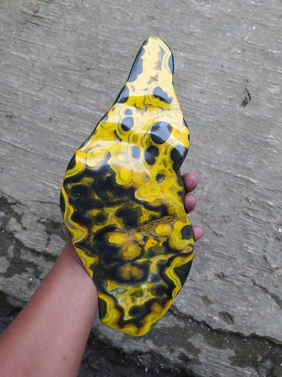 BramSasmitha's tweet photo. Bumblebee jasper slab polished
$300
#bumblebeejasper #polished #colektor https://t.co/xcI7u6KKn8
