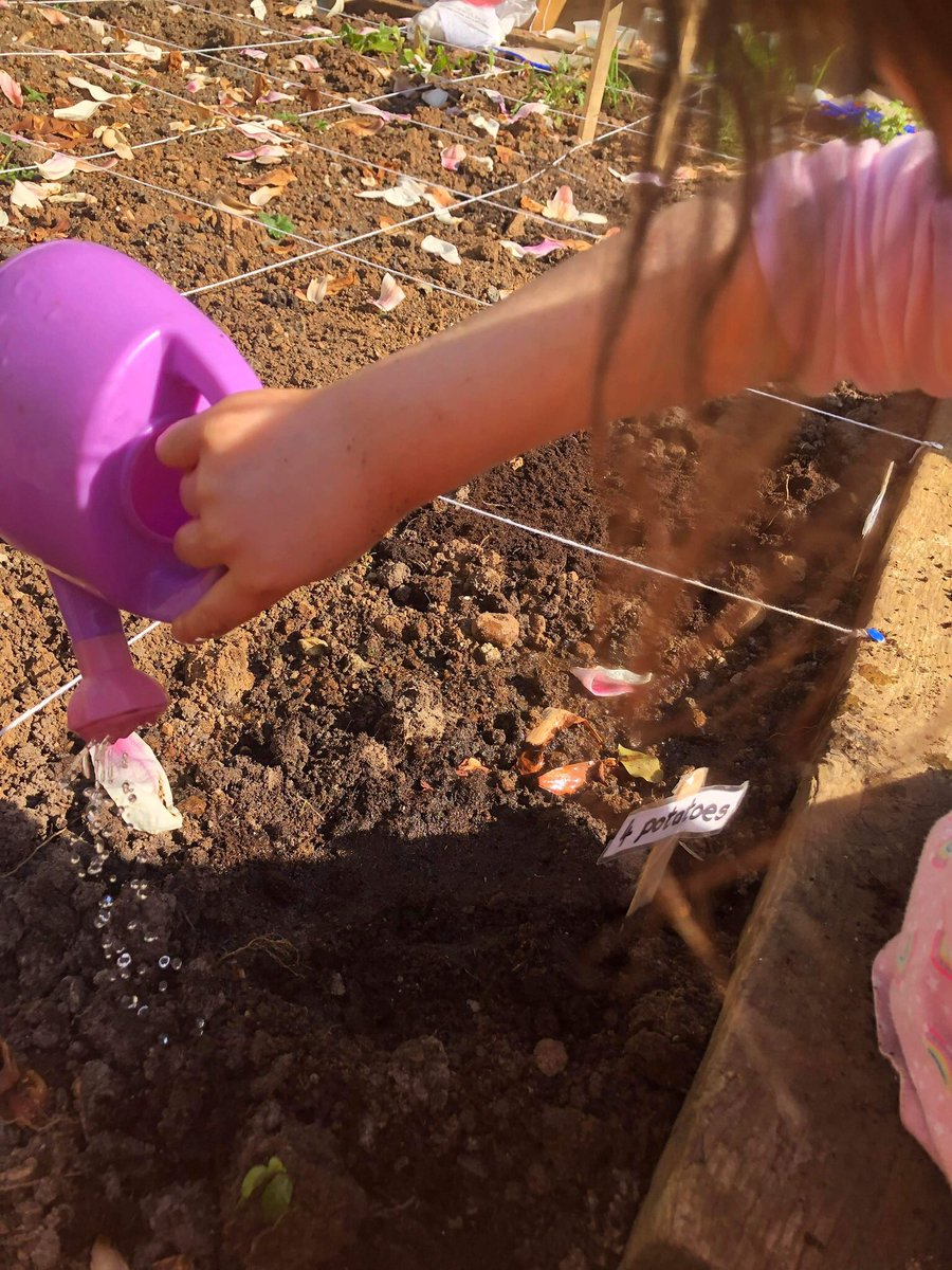 HorticultureTh1's tweet photo. If you want to encourage young children to water the garden, give them a selection of tools, including a water sprayer which is their favourite! They keep going for ages and you also get a break. https://t.co/UiV2u2lRiP