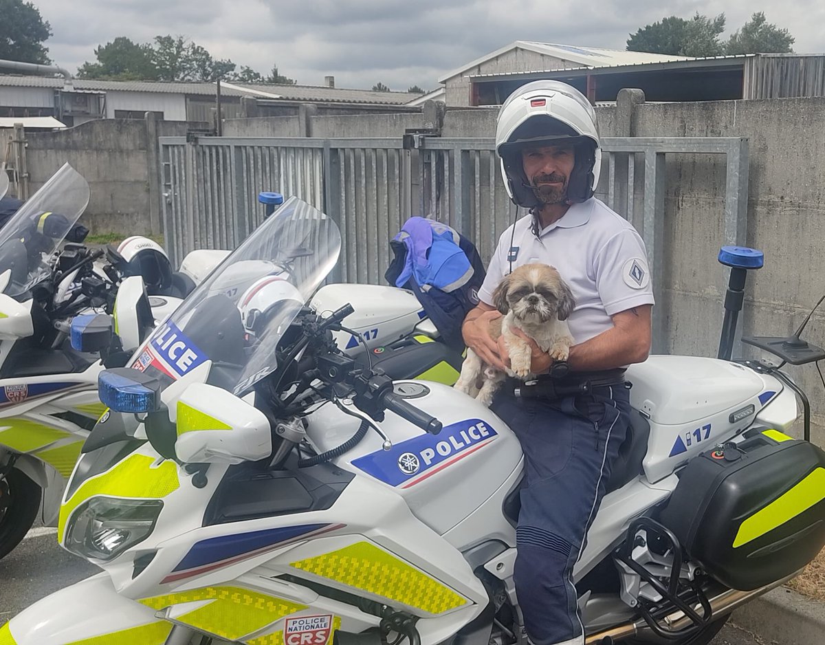 Police Nationale 33 tweet media