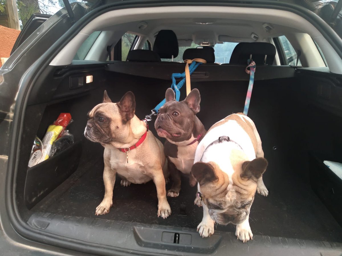 Police Nationale 33 tweet media