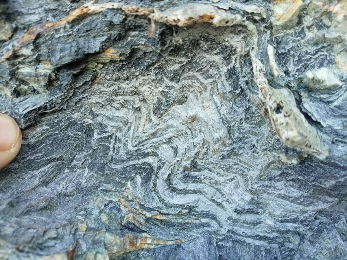 Geology_Tim's tweet photo. Interbedded Mylor slates that have been deformed by the Variscan orogeny but don't be fooled there's no crustal melting here #geology #rocks #Cornwall https://t.co/MtPL4vwJmH