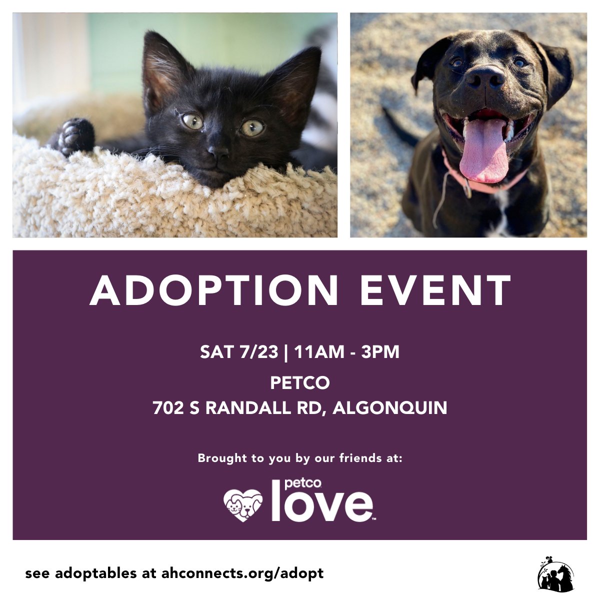 #ICYMI Join us at your local #Petco in Algonquin for an #AndersonHumane #PetAdoption event happening tomorrow SAT 7/23 from 11a-3p. We will have #dogs and #cats who are looking for that special someone and a #FUReverFamily to call their own!
#AdoptDontShop