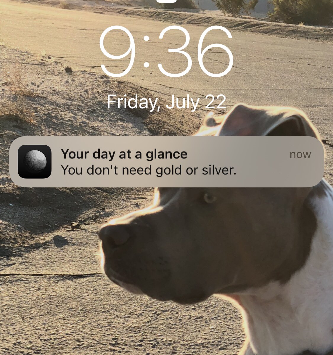 JoeFCC's tweet image. .@costarastrology is “capping.”