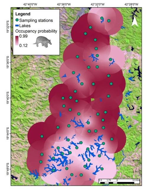 massara_rodrigo's tweet photo. We estimated #density and #abundance, evaluated the influence of habitat features on the #occupancy and #detection probabilities of #giantarmadillos and investigated their #activitypatterns in one of the last strongholds for it in the #AtlanticForest

https://t.co/UHJJTMZ1aG https://t.co/go9S60wY0h