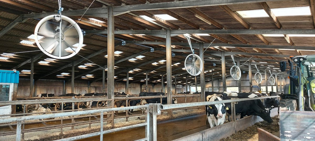 Last weeks heatwave was a test of our facilities and trying to encourage cows to graze past 28⁰C was futile. Had to admit defeat and install some ventilation to help keep cows happy. Thanks to <a href="/OwenMcConochiee/">Owen Mcconochie</a> at Lloyd's Dairy Centre for prompt delivery (farmer installed 😉).