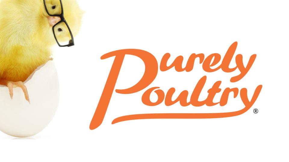 purelypoultry's tweet photo. Attention! please be advised that at the moment there MAY BE delays with shipping because of the heat.  questions/concerns about your shipments can be addressed via our website or call  at (920) 472-4068. 
https://t.co/3DzGrHJSOt 
We thank you for your patience and understanding! https://t.co/kLyl7V4dCK