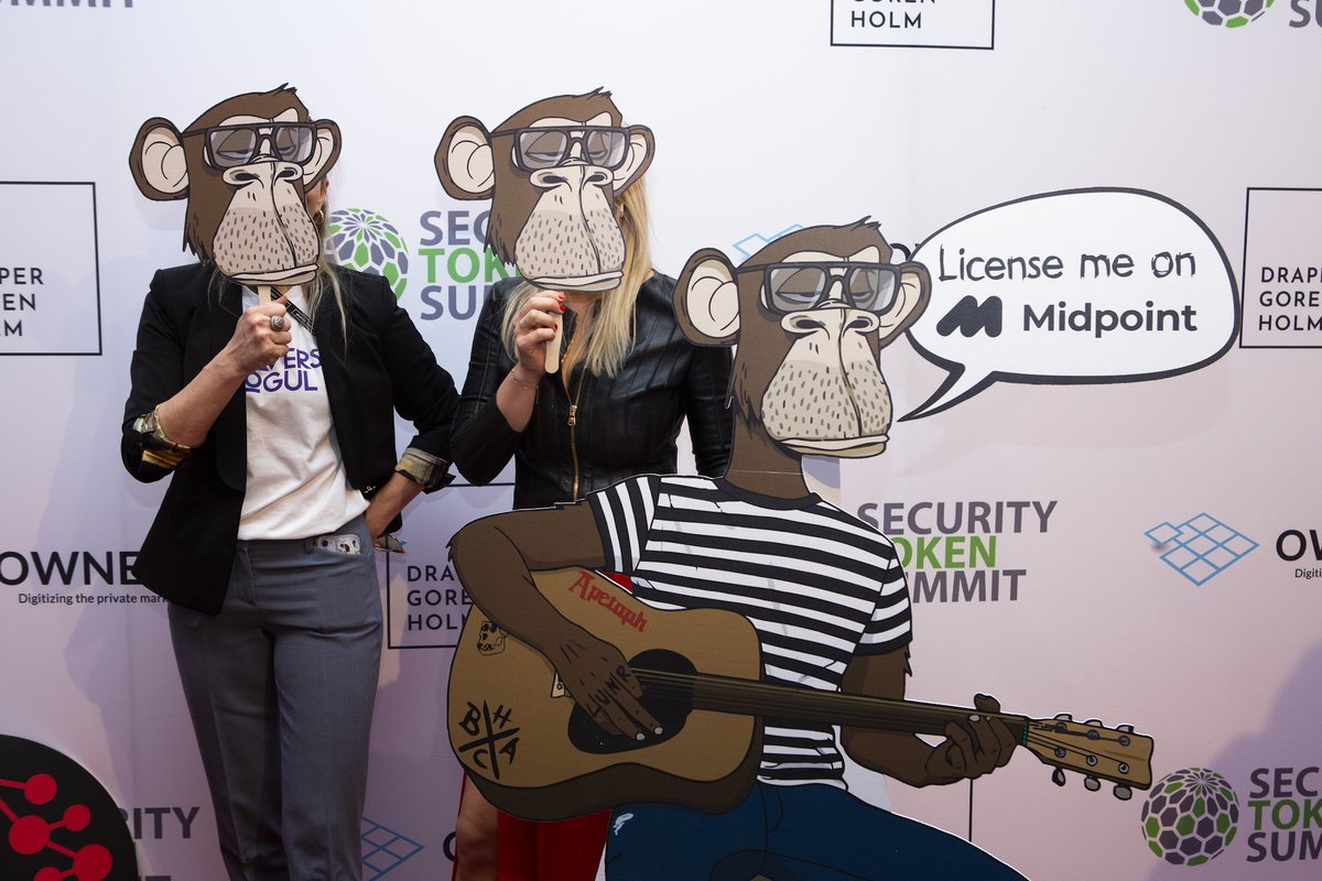 Alon Gorenᴳᴹ ✌️ tweet media